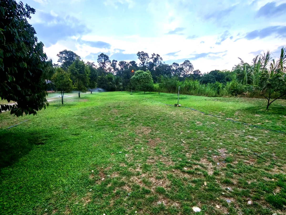 Padang rumput terbuka di laman, cukup ruang untuk khemah atau caravan