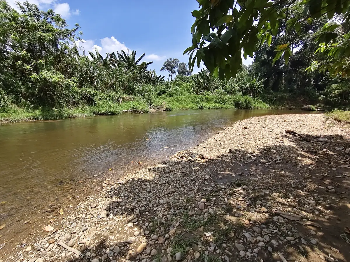 Air cetek mengalir atas kerikil dan batu di tepi sungai