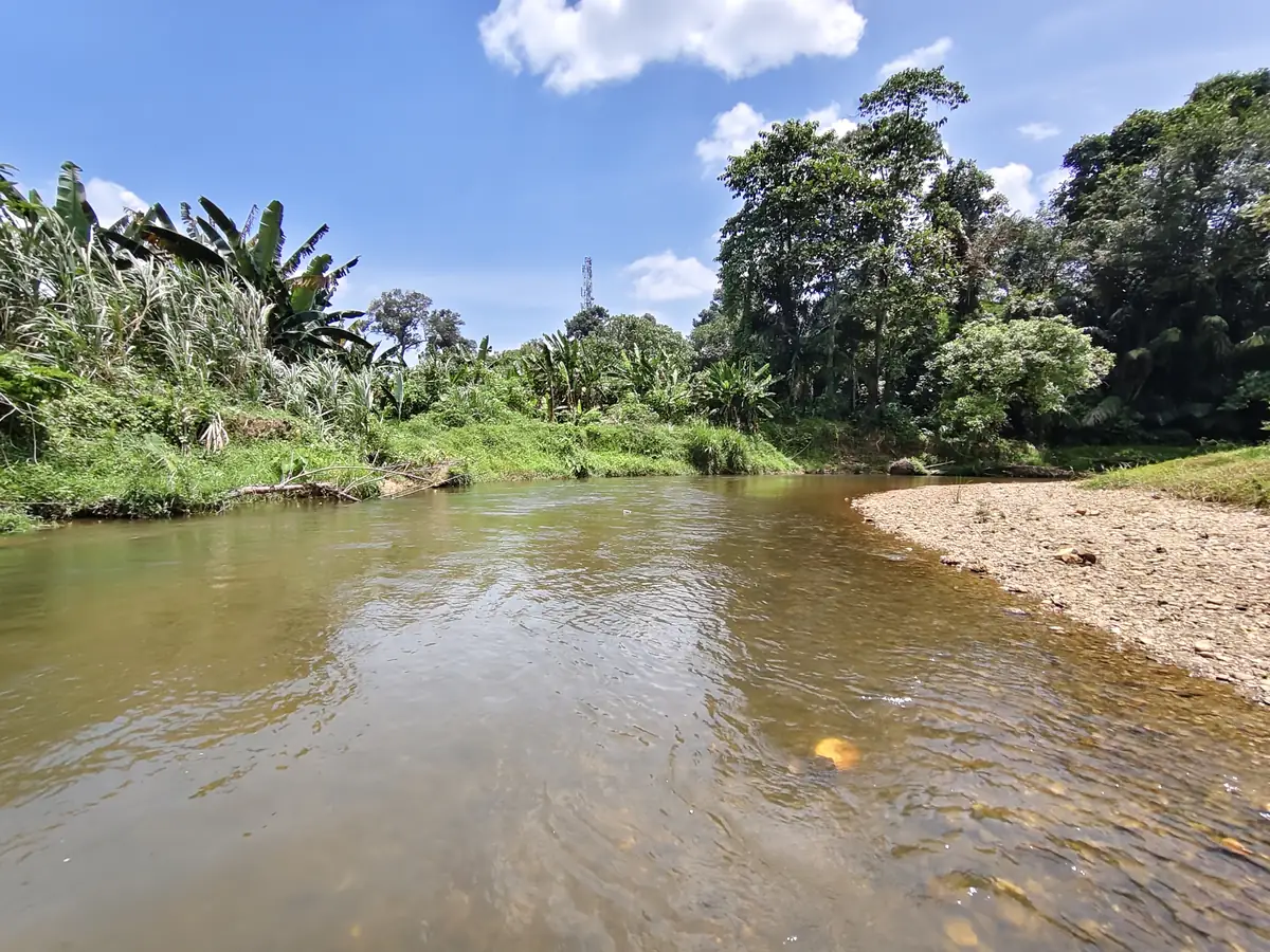Sungai mengalir luas dan cetek melepasi tebing pasir