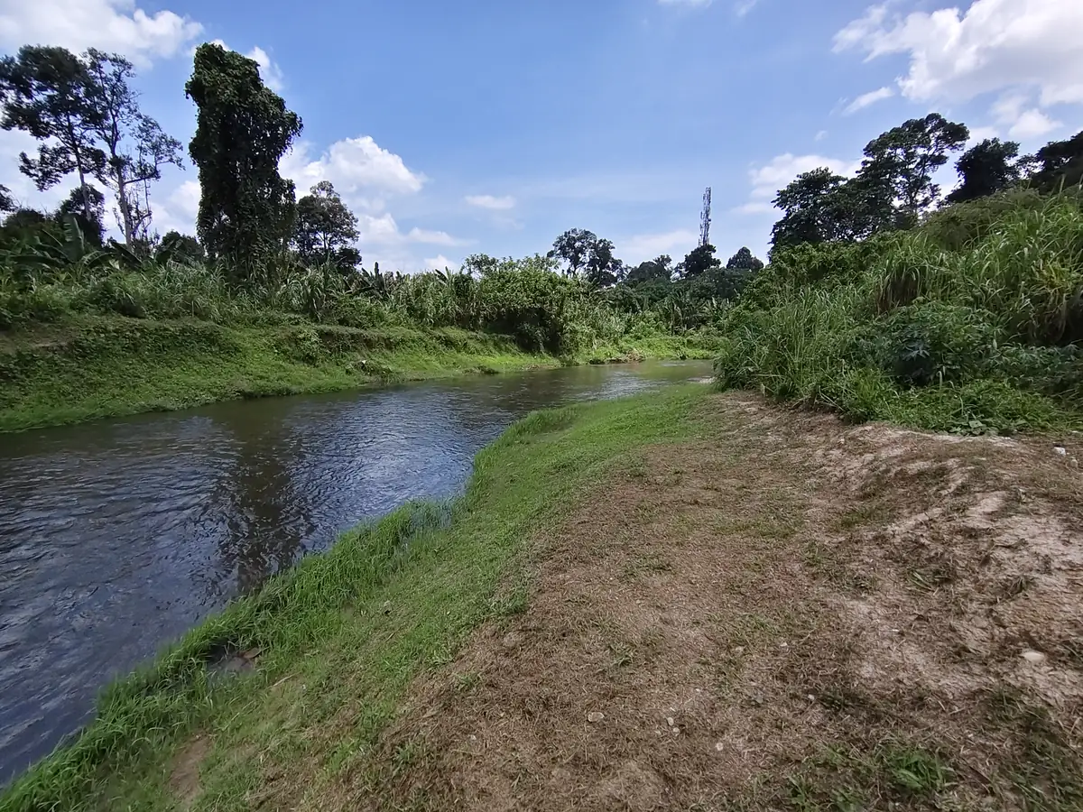 Sungai mengalir melepasi tebing berumput